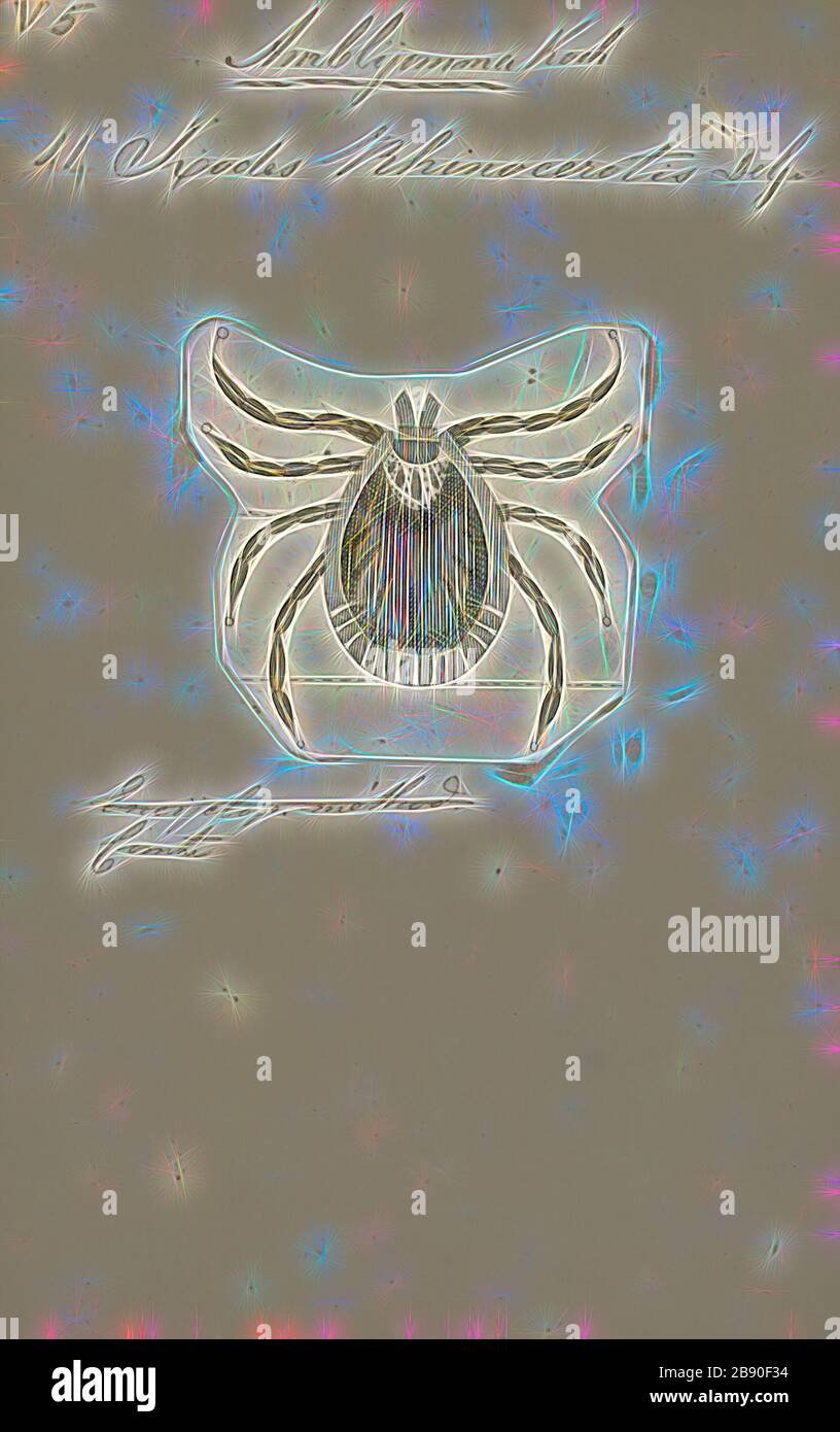 Amblyomma, Print, Amblyomma is a genus of hard ticks. Some are disease vectors, for example for Rocky Mountain spotted fever in Brazil or ehrlichiosis in the United States., Reimagined by Gibon, design of warm cheerful glowing of brightness and light rays radiance. Classic art reinvented with a modern twist. Photography inspired by futurism, embracing dynamic energy of modern technology, movement, speed and revolutionize culture. Stock Photo