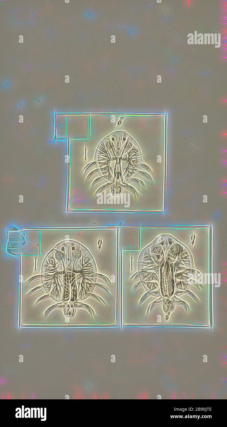 Argulus foliaceus, Print, Argulus foliaceus (or Monoculus foliaceus Linnaeus, 1758 name) is a species of crustaceans in the family Argulidae, the fish lice. It is sometimes called the common fish louse. It is the most common and widespread native argulid in the Palaearctic and one of the most widespread crustacean ectoparasites of freshwater fish in the world, Reimagined by Gibon, design of warm cheerful glowing of brightness and light rays radiance. Classic art reinvented with a modern twist. Photography inspired by futurism, embracing dynamic energy of modern technology, movement, speed and Stock Photo