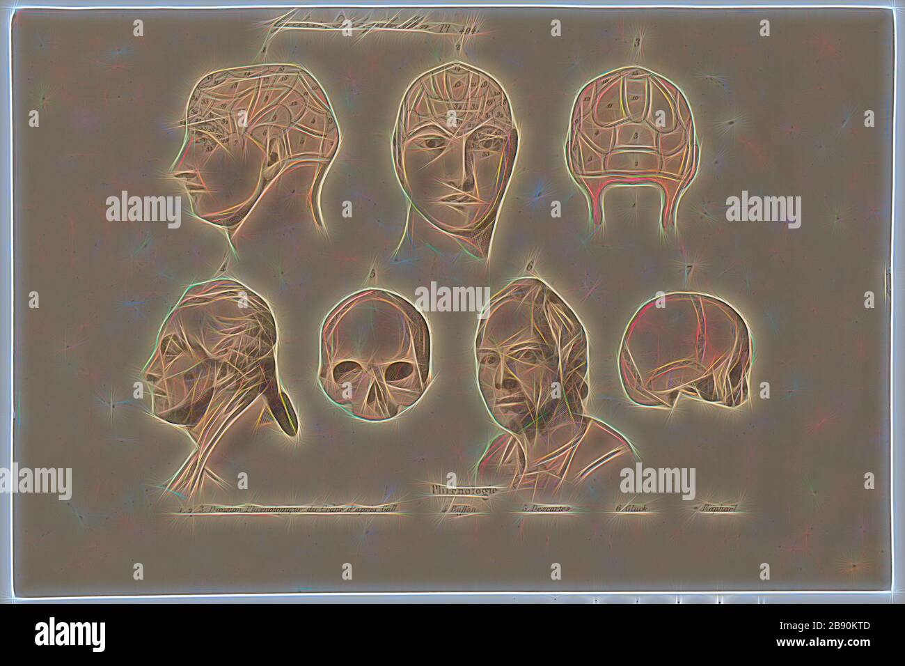 Homo sapiens, Print, Homo sapiens is the only extant human species. The ...