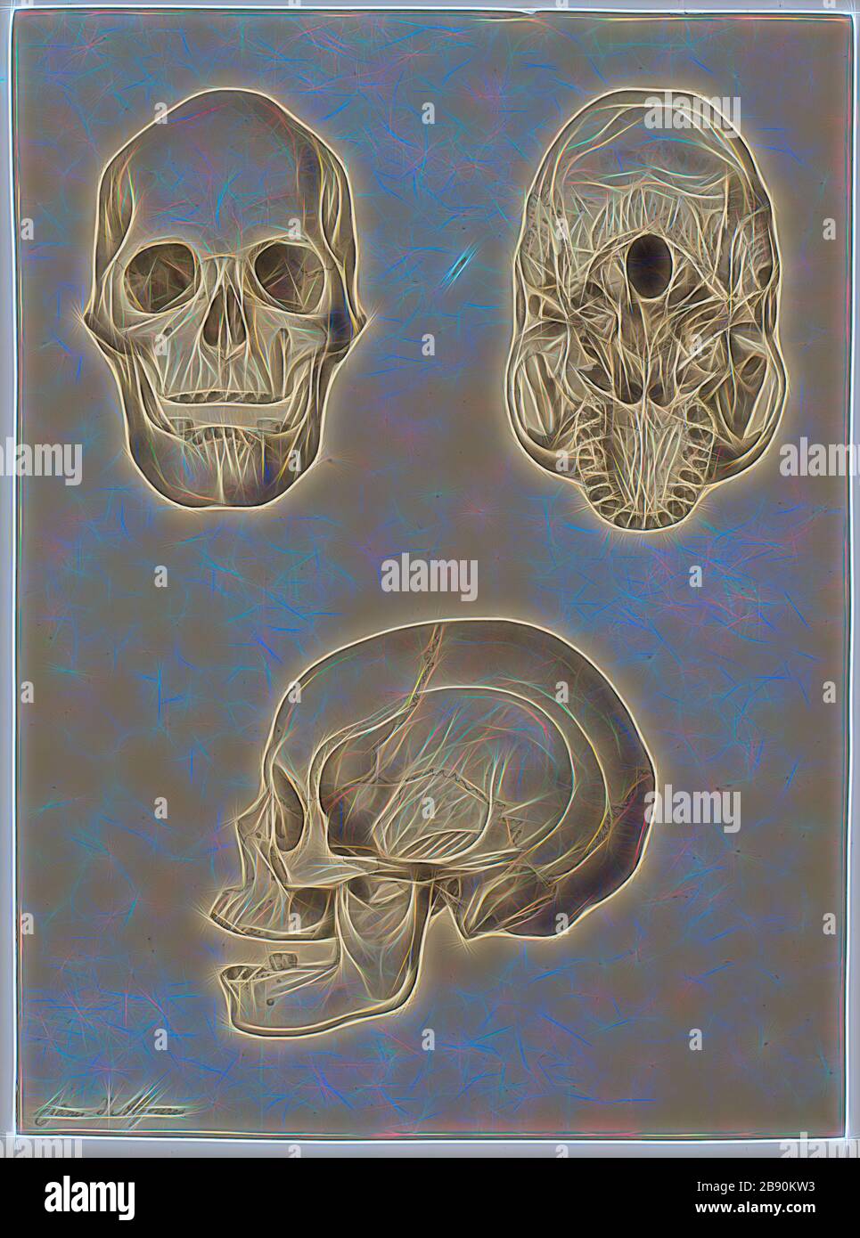 Homo sapiens, Print, Homo sapiens is the only extant human species. The ...