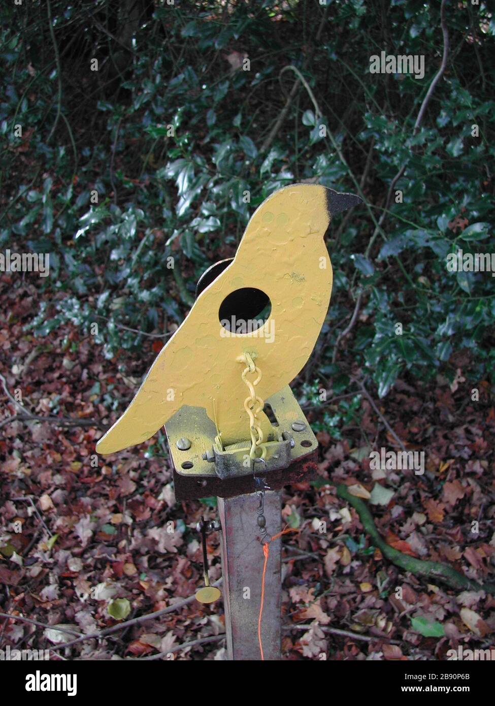 Air Gun Club High Resolution Stock Photography And Images Alamy