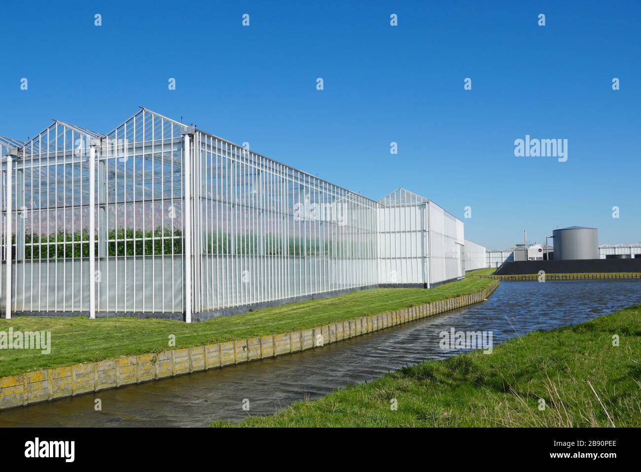 Netherlands Westland Greenhouse Hothouse Greenery High Resolution Stock Photography And Images Alamy