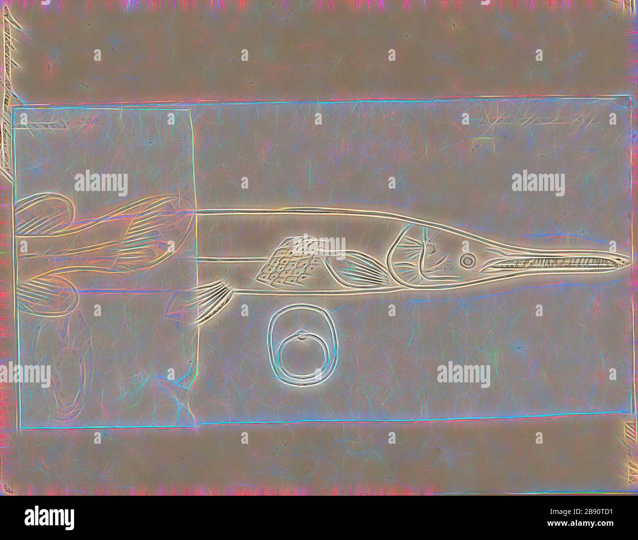 Lepisosteus osseus, Print, Longnose gar, 1700-1880, Reimagined by Gibon, design of warm cheerful glowing of brightness and light rays radiance. Classic art reinvented with a modern twist. Photography inspired by futurism, embracing dynamic energy of modern technology, movement, speed and revolutionize culture. Stock Photo