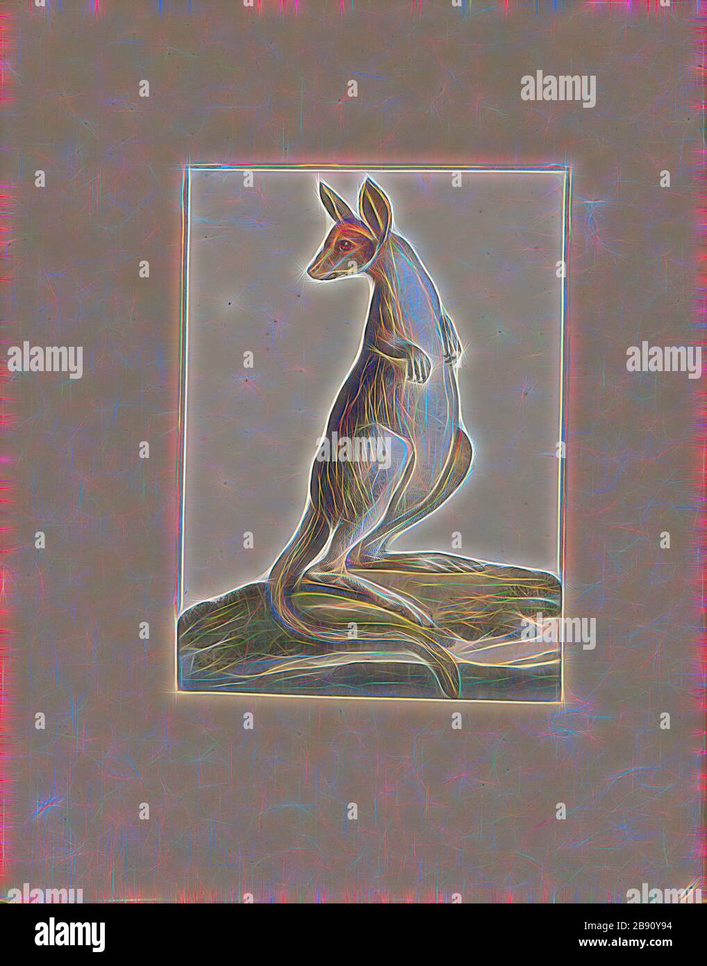Macropus giganteus, Print, The eastern grey kangaroo (Macropus giganteus) is a marsupial found in southern and eastern Australia, with a population of several million. It is also known as the great grey kangaroo and the forester kangaroo. Although a big eastern grey male typically masses around 66 kg (weight 145 lb.) and stands almost 2 m (6.6 ft.) tall, the scientific name, Macropus giganteus (gigantic large-foot), is misleading: the red kangaroo of the semi-arid inland is larger, weighing up to 90 kg., 1700-1880, Reimagined by Gibon, design of warm cheerful glowing of brightness and light ra Stock Photo