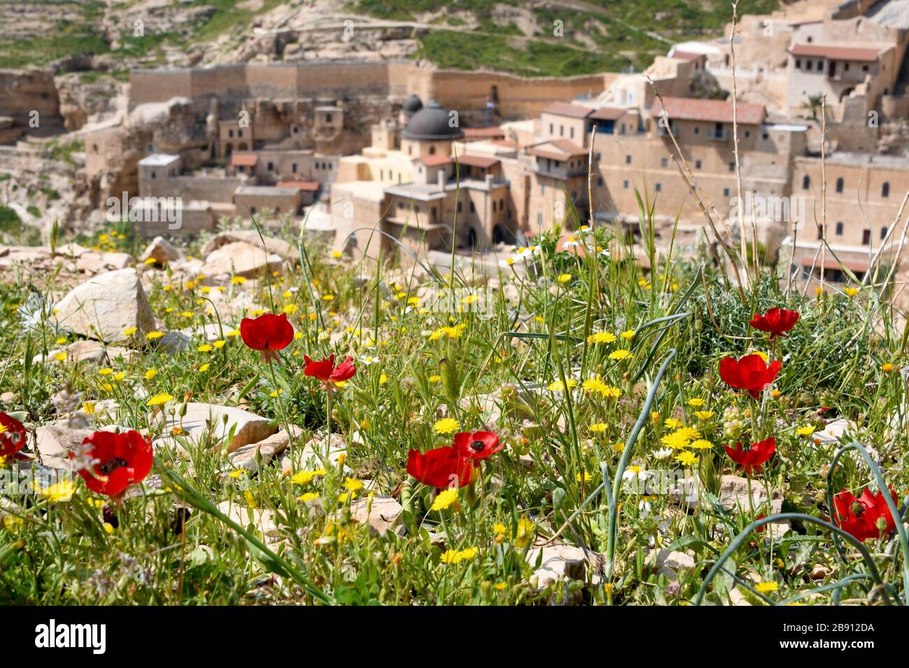 The Holy Lavra of Saint Sabbas known as Mar Saba is a Greek Orthodox monastery overlooking the Kidron Valley at a point halfway between the Old City o Stock Photo