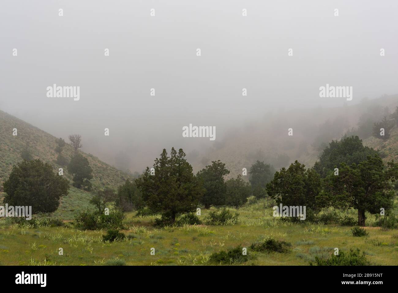 Mountains and valley of the Golestan National Park in Iran. Stock Photo