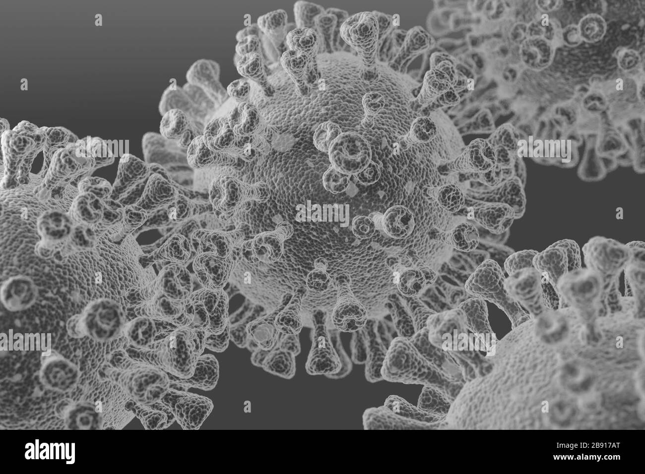 Close-up of parasitic viral cells under a microscope in a specialized laboratory on a gray background black and white image 2020 Stock Photo