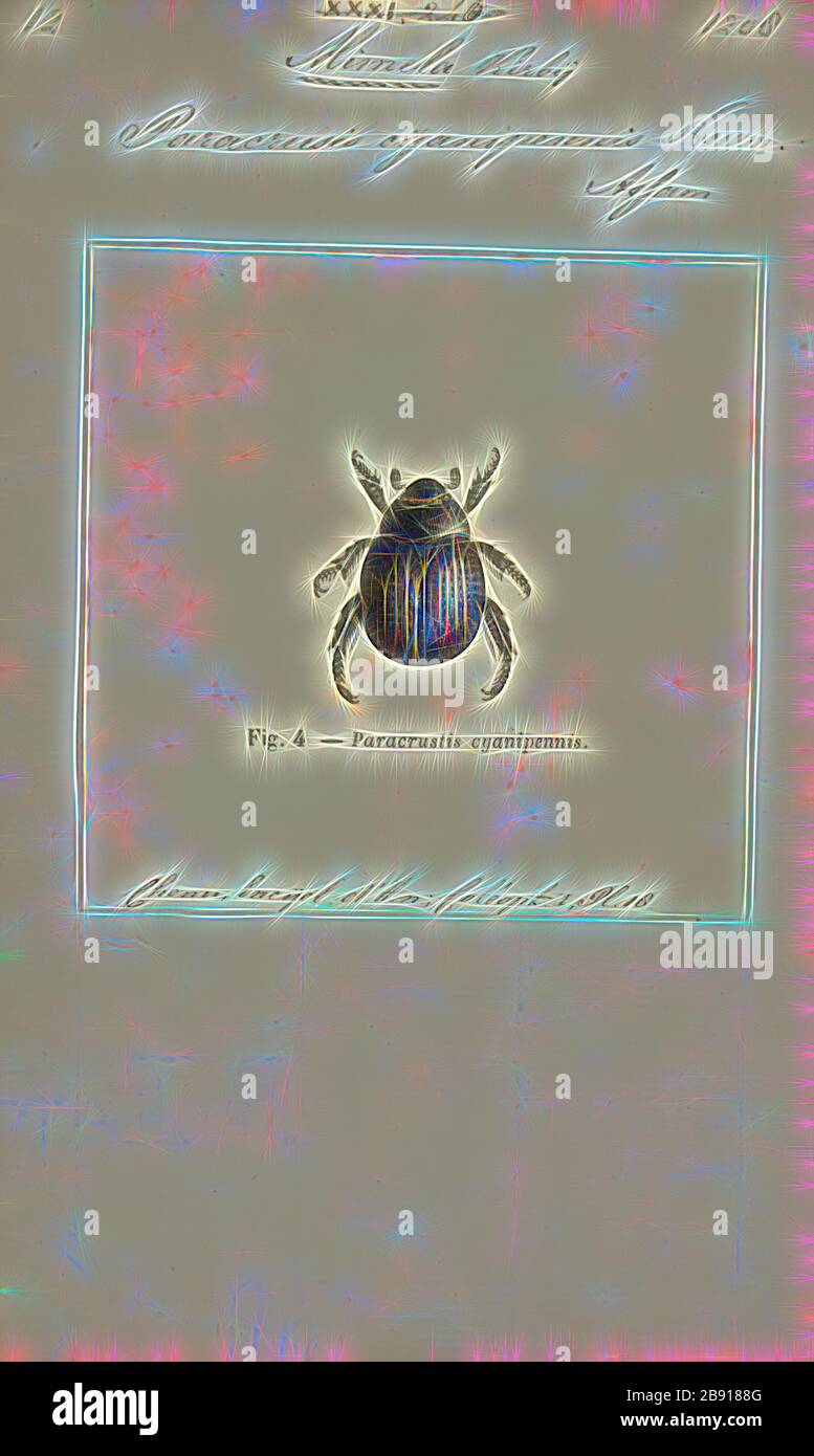 Mimela, Print, Mimela is a genus of shining leaf chafer belonging to the family Scarabeidae subfamily Rutelinae., Reimagined by Gibon, design of warm cheerful glowing of brightness and light rays radiance. Classic art reinvented with a modern twist. Photography inspired by futurism, embracing dynamic energy of modern technology, movement, speed and revolutionize culture. Stock Photo