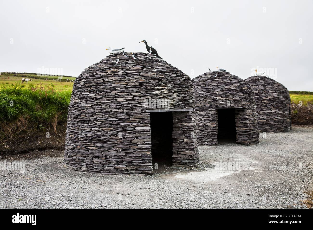 Replica historic Fahan Beehive huts, Clochán, Dingle Peninsula, Kerry, Ireland, Irish landscape, beehive village tourism Stock Photo
