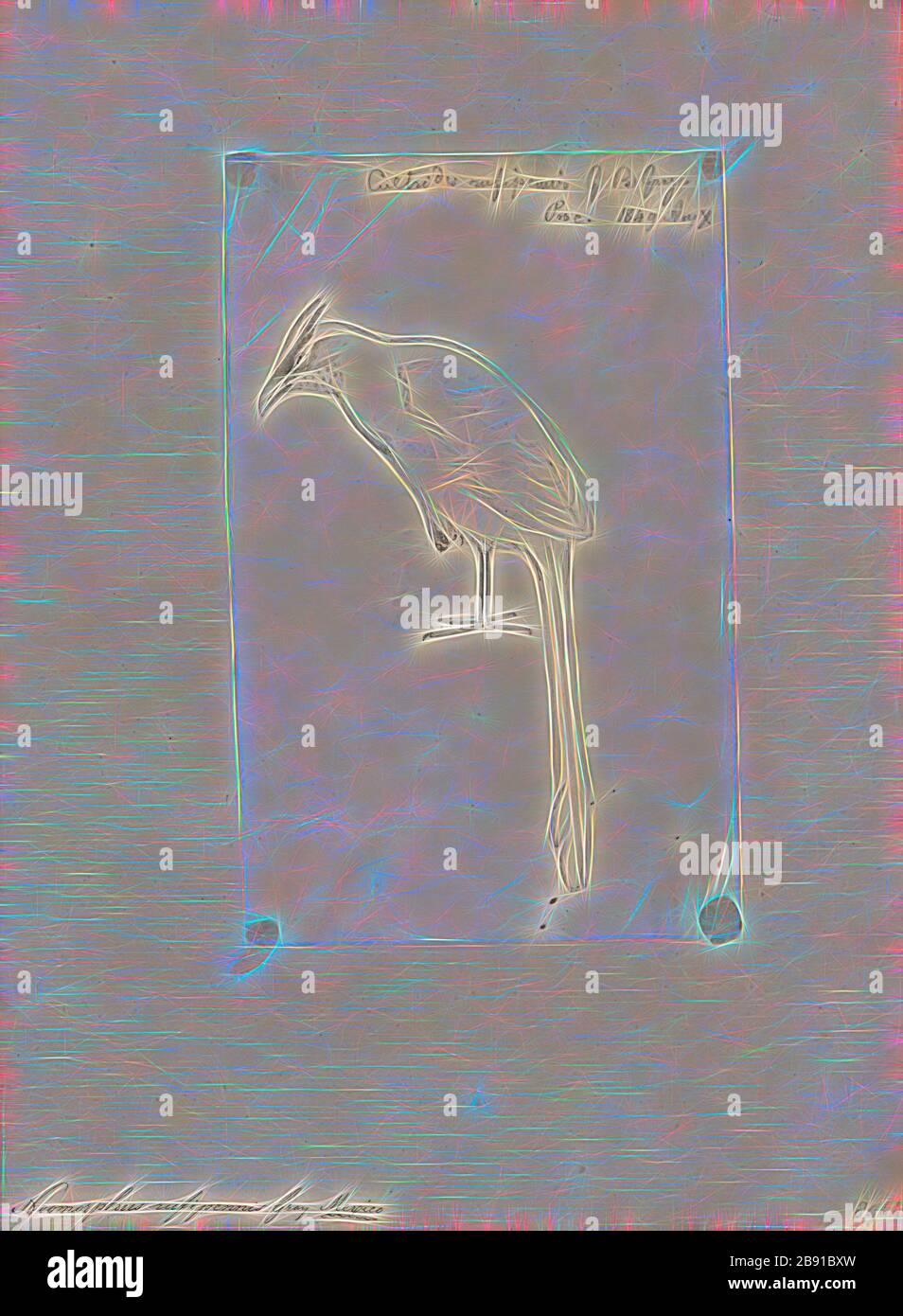 Largest south american cuckoo together hires stock photography and