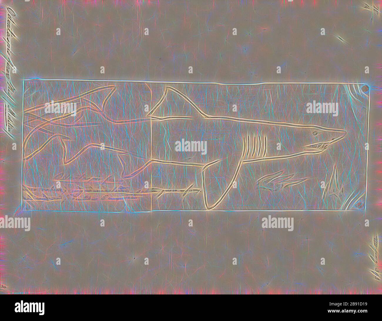 Smalltooth sand tiger shark hi-res stock photography and images - Alamy