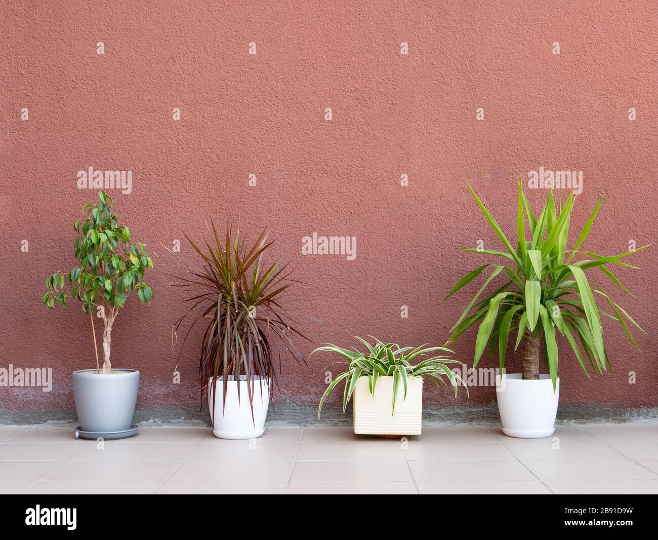 Few Flower Pots With Exotic Plants On A Ceramic Tile Floor Near Painted Concrete Rough Wall Interior Design Mockup With Lot Of Free Copy Space Stock Photo Alamy