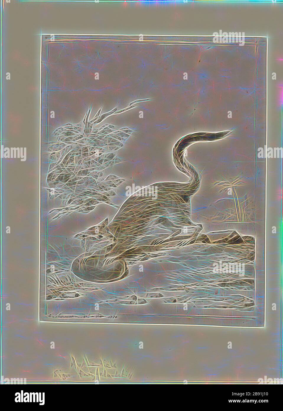 Pedetes capensis, Print, The South African springhare (Pedetes capensis ...