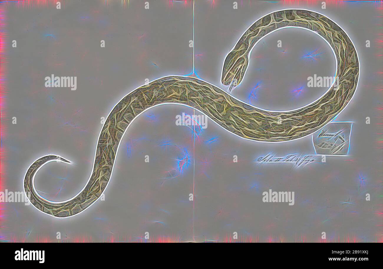 Five distinct subspecies hi-res stock photography and images - Alamy