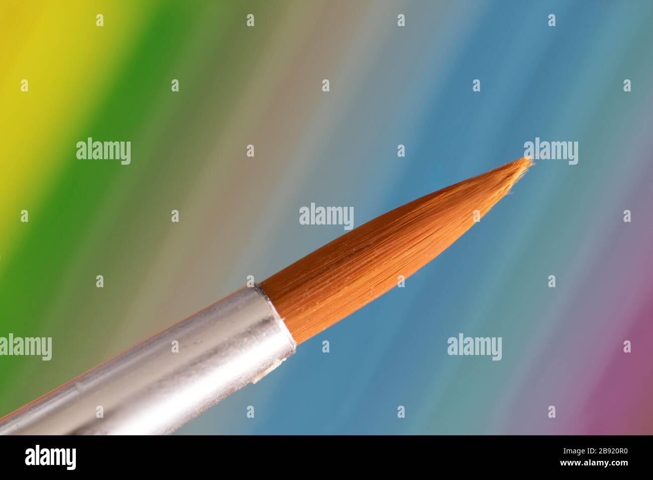 A macro portrait of a paintbrush tip in front of a colorful background