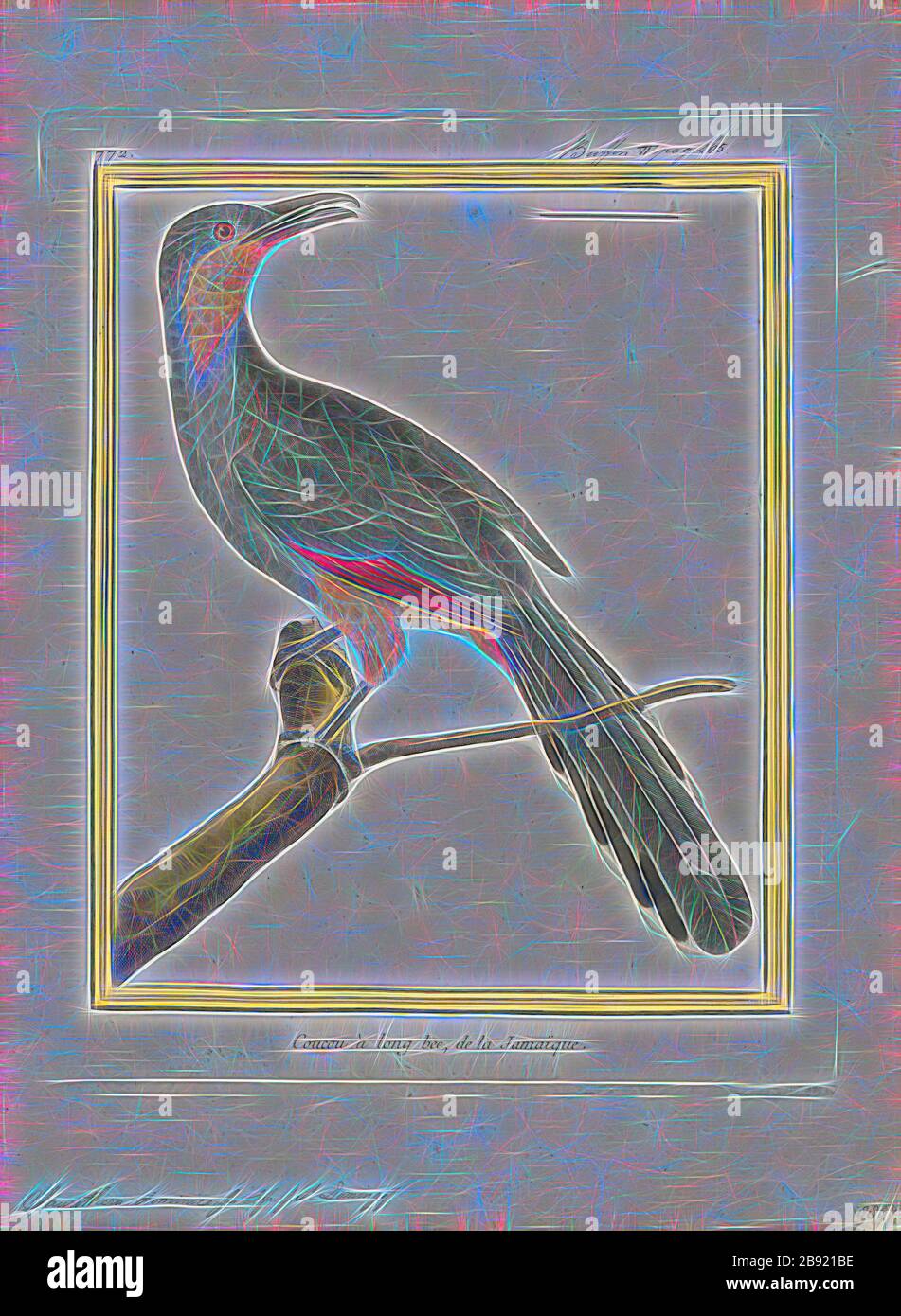 Saurothera dominicensis, Print, Coccyzus, Coccyzus is a genus of cuckoos which occur in the Americas. The genus name is from Ancient Greek kokkuzo, which means to call like a common cuckoo. These include the lizard cuckoos formerly included in the genus Saurothera., 1700-1880, Reimagined by Gibon, design of warm cheerful glowing of brightness and light rays radiance. Classic art reinvented with a modern twist. Photography inspired by futurism, embracing dynamic energy of modern technology, movement, speed and revolutionize culture. Stock Photo