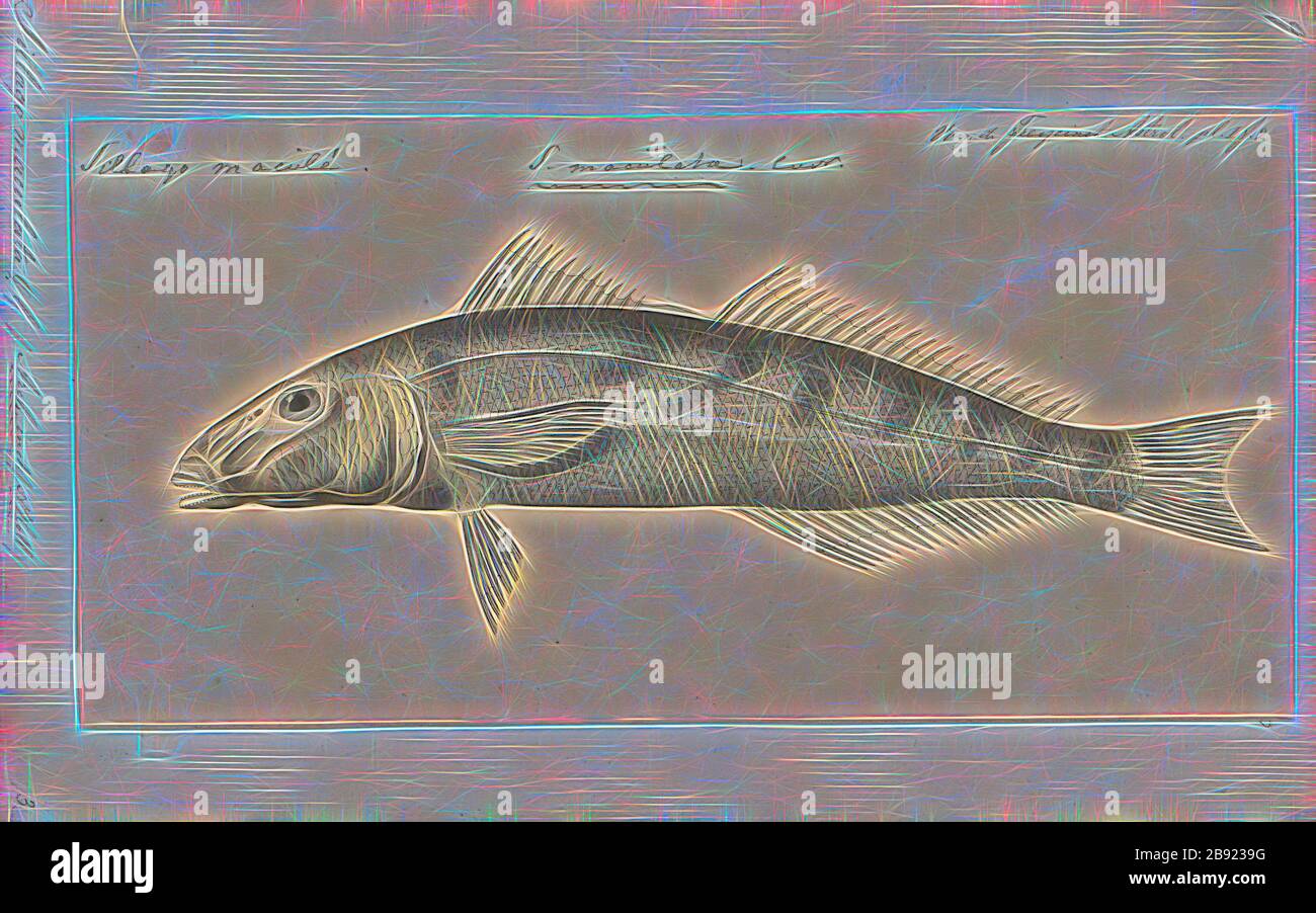 Sillago maculata, Print, The trumpeter whiting, Sillago maculata, (also known as the winter whiting or diver whiting) is a common species of coastal marine fish of the smelt-whiting family, Sillaginidae. The trumpeter whiting is endemic to Australia, inhabiting the eastern seaboard from southern New South Wales to northern Queensland. The species is found in bays, estuaries, coastal lakes and mangrove creeks on silty and muddy substrates in waters ranging from 0 to 30 m deep, occasionally inhabiting sandy and seagrass beds., 1700-1880, Reimagined by Gibon, design of warm cheerful glowing of br Stock Photo