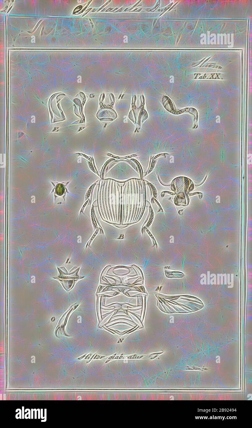 Sphaeritidae Sphaerites, Print, Sphaerites is a genus of beetles, the only genus in ...