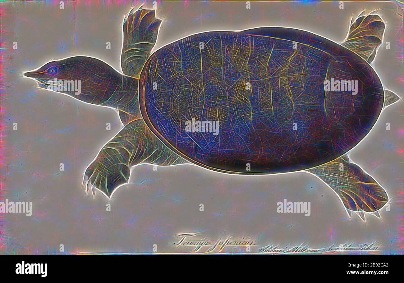 Trionyx japonicus hi-res stock photography and images - Alamy