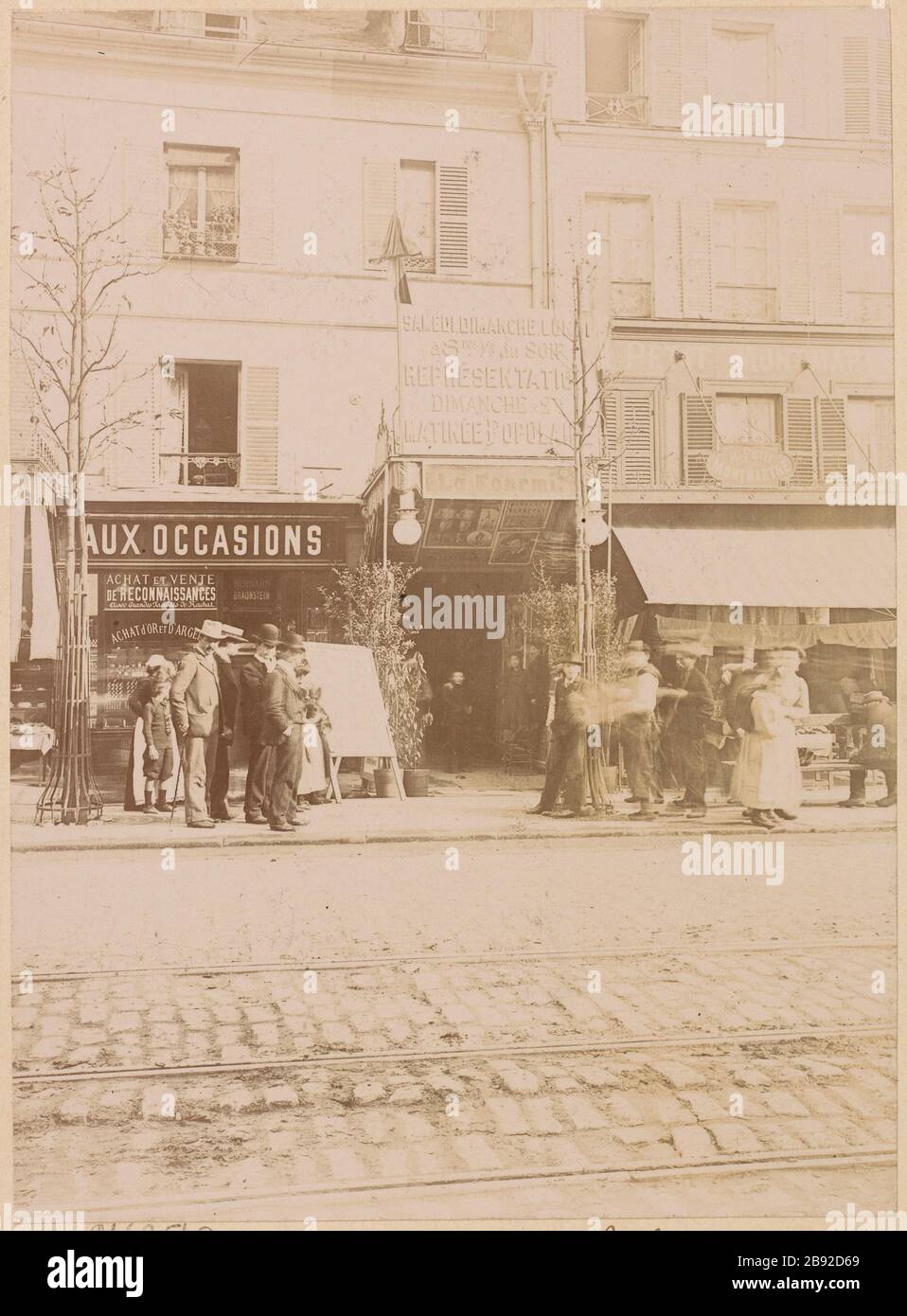 Fourmi High Resolution Stock Photography And Images Alamy