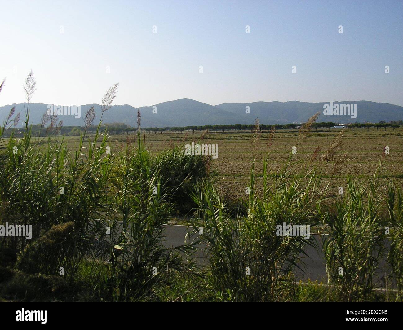 Italiano: piana di Luni, presso Marinella di Sarzana; 14 October 2007  (original upload date); mia foto; Gregorovius at Italian Wikipedia Stock  Photo - Alamy