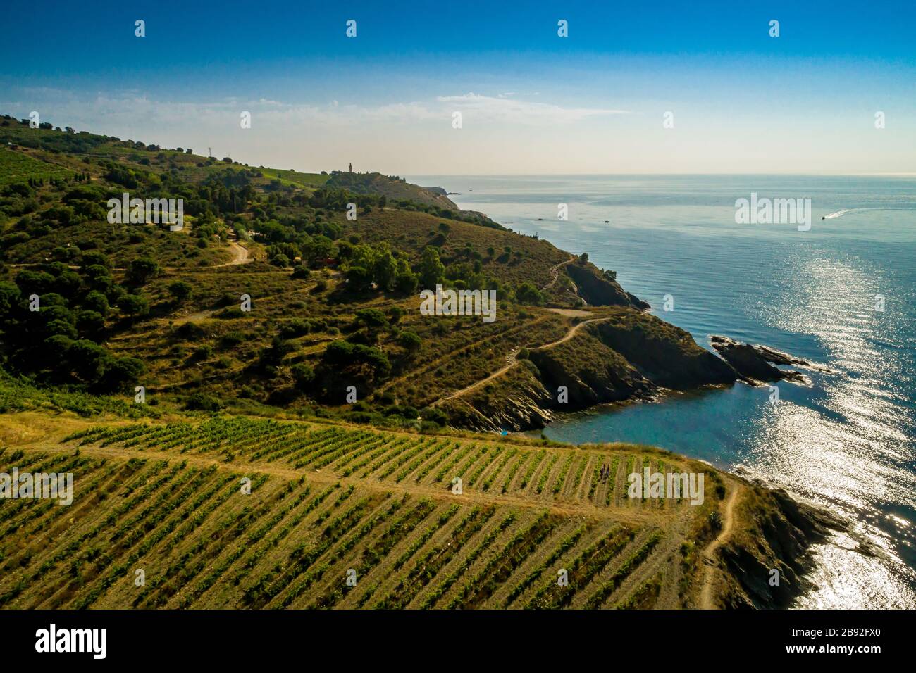 nte de vin dou de collioure et de banyuls au domaine Cazes, Port Vendres. Stock Photo
