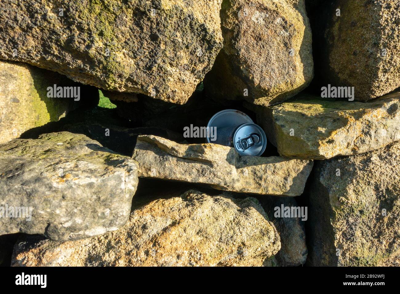 Empty drinks can and cup have been selfishly discarcarded in the old stone wall, Yorkshire Dales, UK Stock Photo
