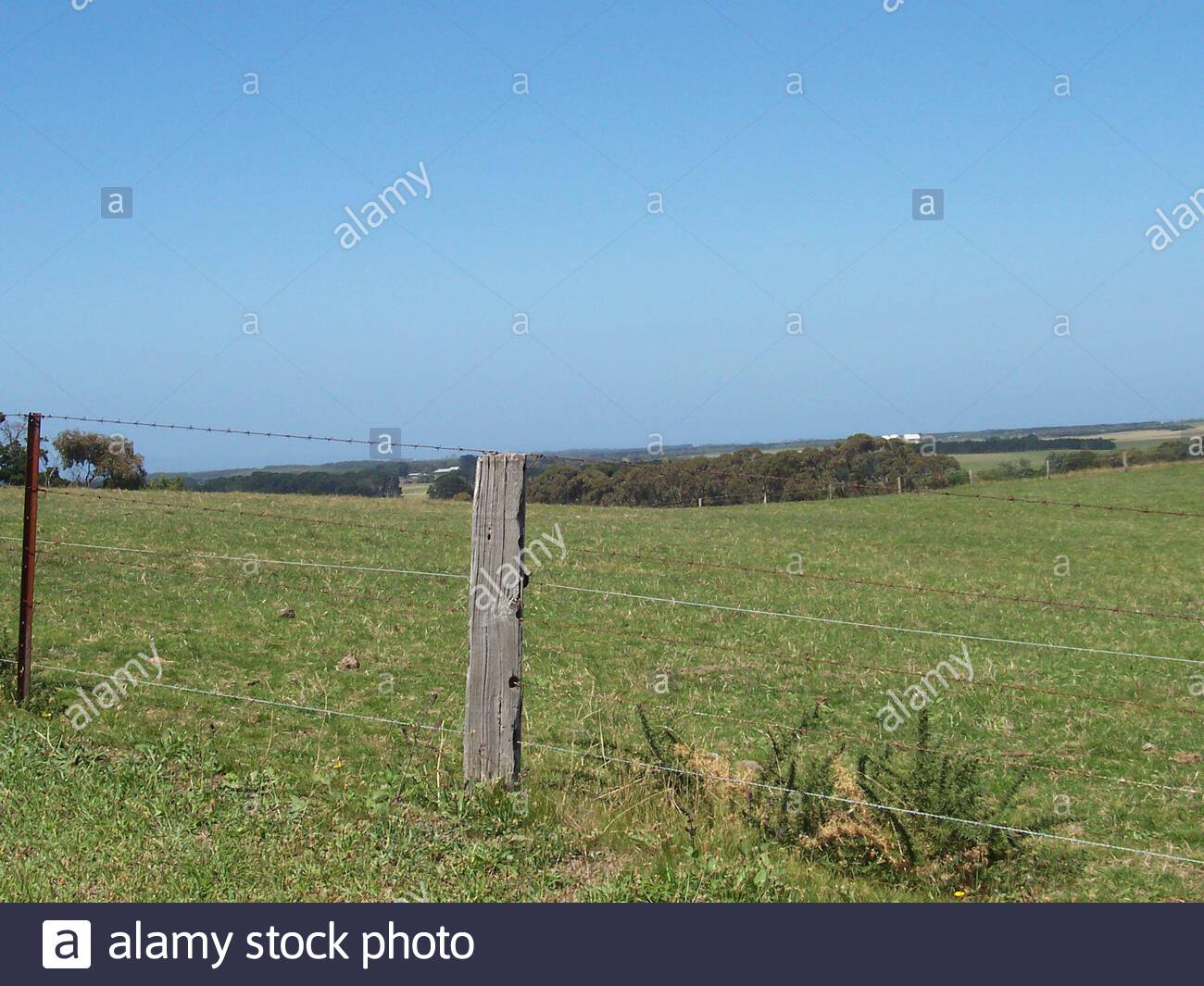 He says the hours were long and the pay was low speed dating wexford ireland. Marzena has been saving for a 10% deposit to buy an apartment in Portarlington. A senior hospital representative has since criticised the lack of staff in the SPEED DATING WEXFORD IRELAND