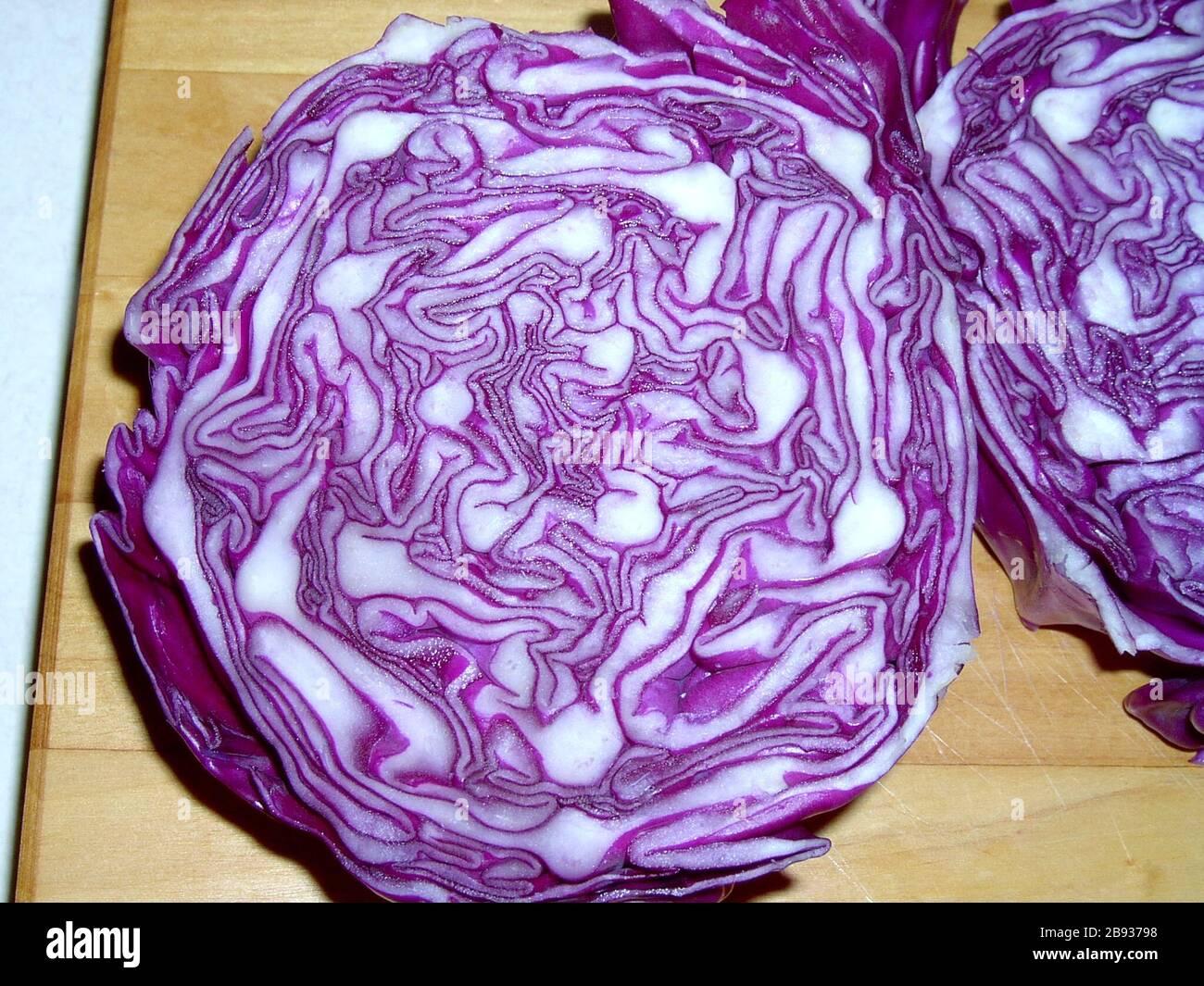 I cut a head of purple cabbage in half and saw this wonderful sight, so I took a and thought should share it with the world. Enjoy this natural fractal.