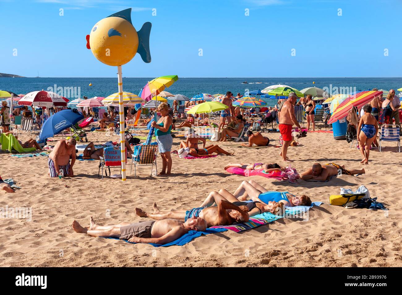 Crowded beach benidorm hires stock photography and images Alamy