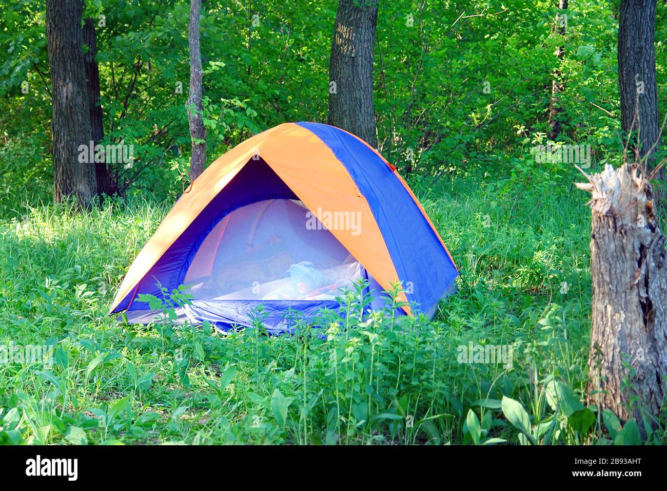 Tourist tent on the background of the forest Stock Photo - Alamy