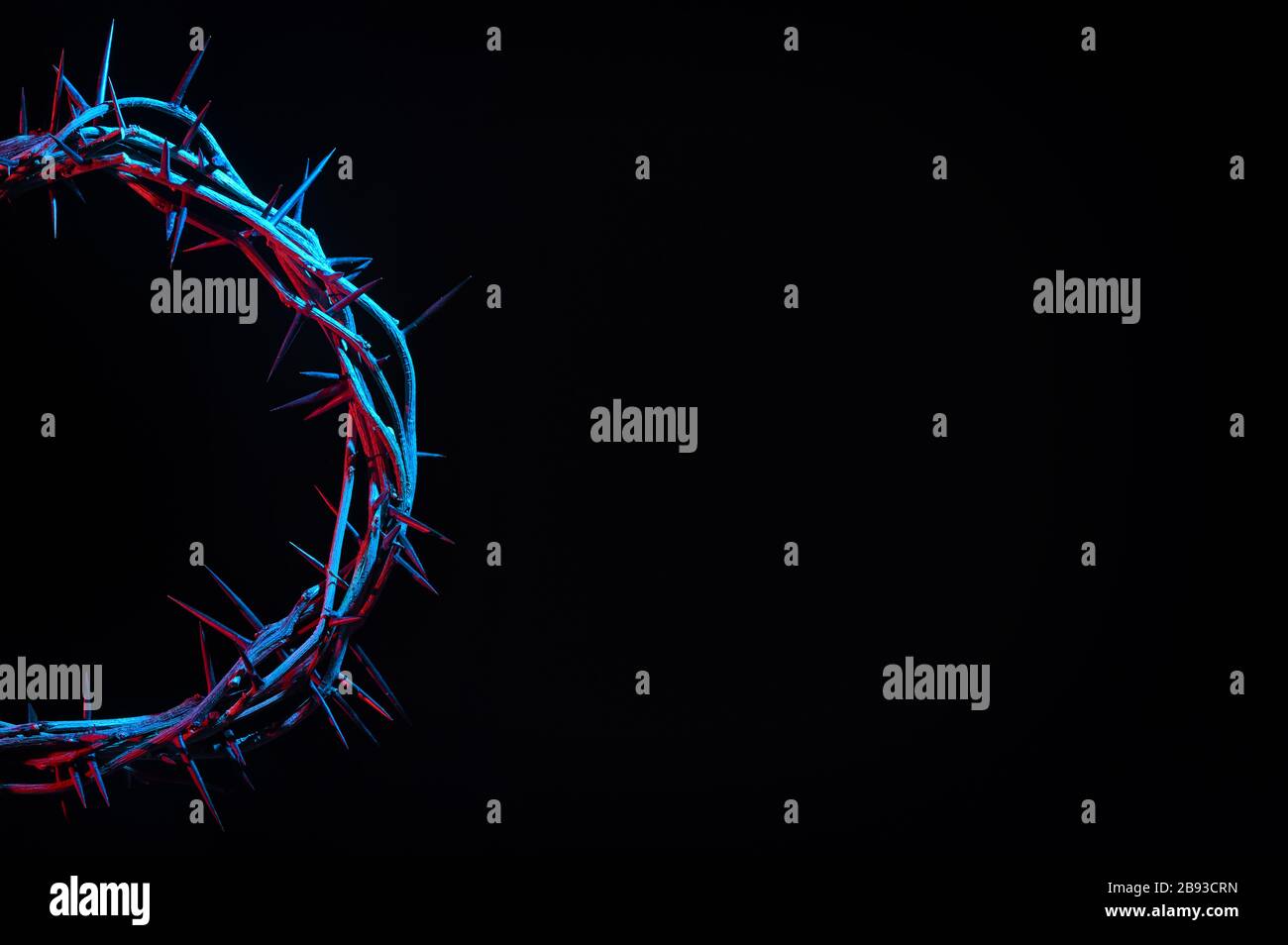 Colored Crown Of Thorns On A Black Background Stock Photo