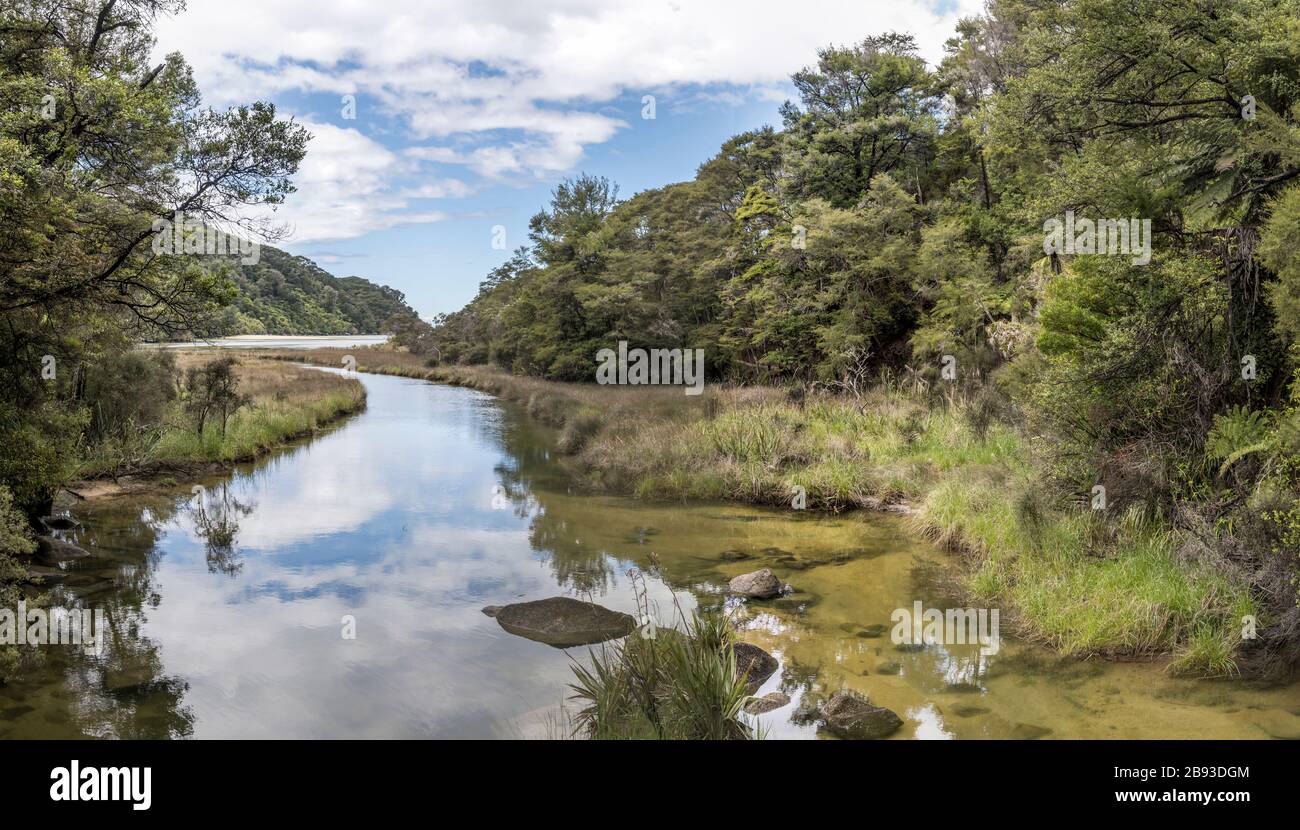 river  with lush  rain forest vegetation at Bark bay, shot in bright spring light near Kaiteriteri, Abel Tasman park, South Island, New Zealand Stock Photo