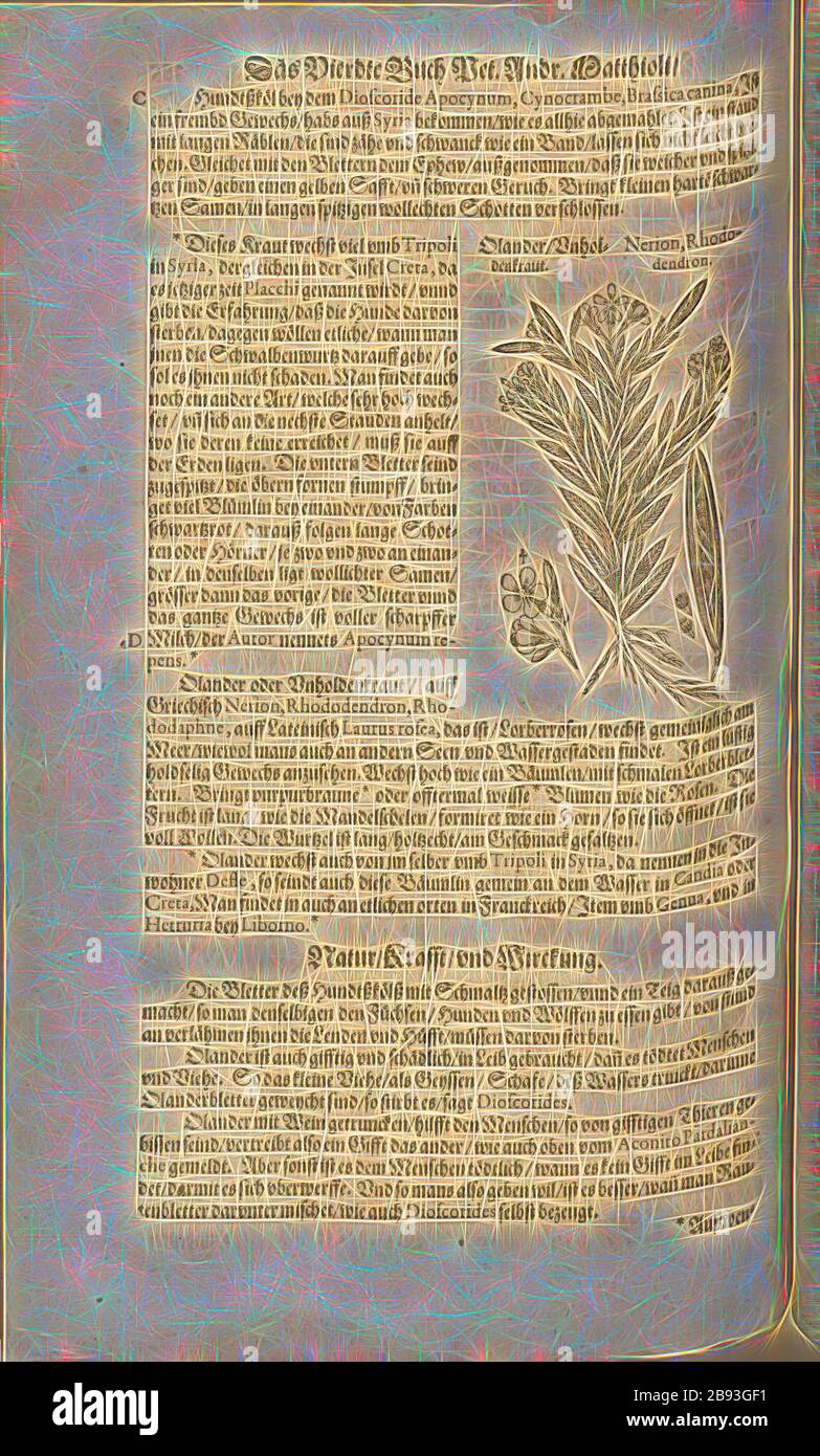 Nerion, Rhododendron, Olander, Hogweed, Fol. 385v, 1590, Pietro Andrea Mattioli, Joachim Camerarius: Kreuterbuch desz hochgelehrten unnd weitberühmten Herrn D. Petri Andreae Matthioli. Franckfort am Mayn: [Feyrabendt], 1590, Reimagined by Gibon, design of warm cheerful glowing of brightness and light rays radiance. Classic art reinvented with a modern twist. Photography inspired by futurism, embracing dynamic energy of modern technology, movement, speed and revolutionize culture. Stock Photo