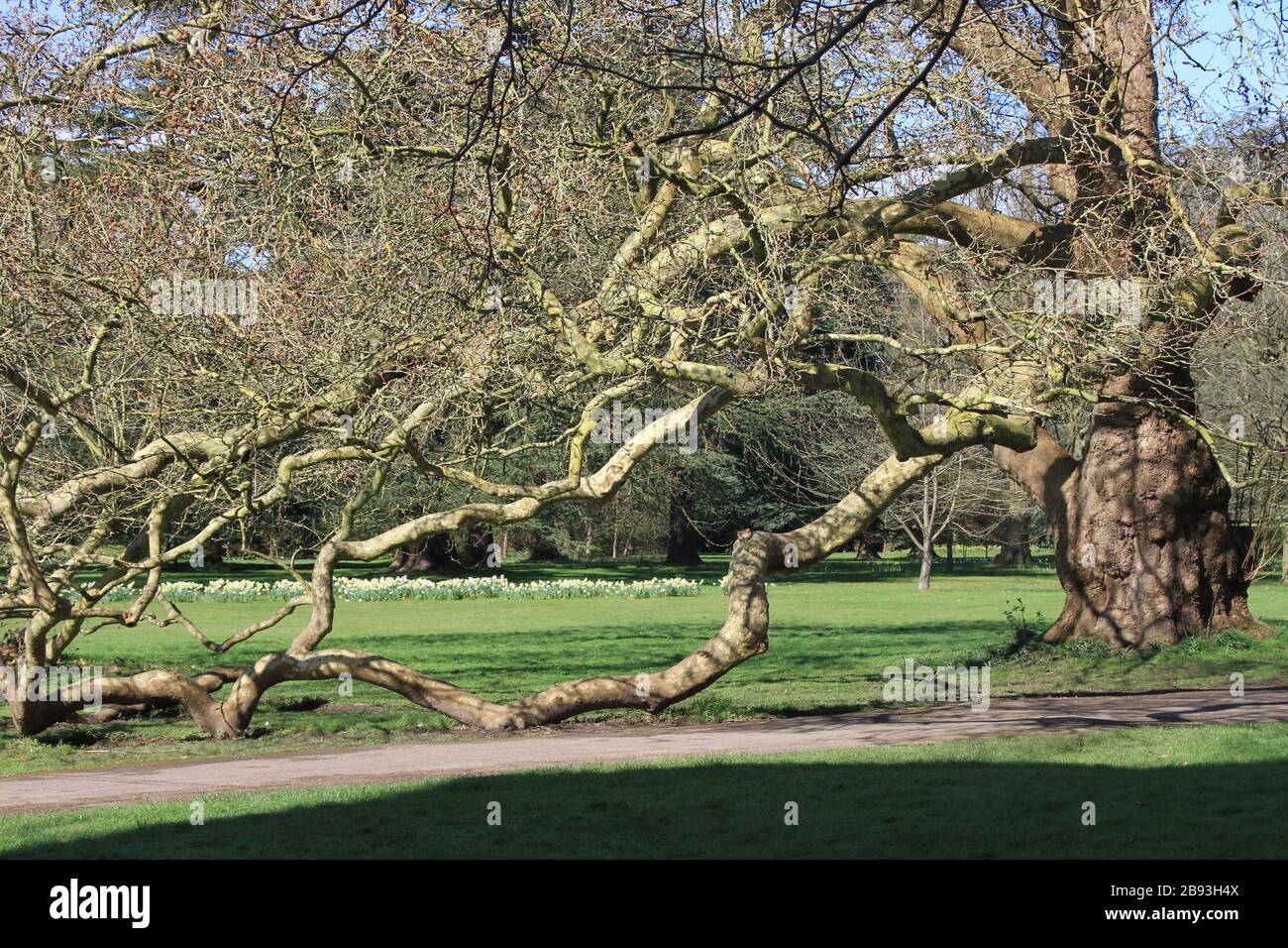 Osterley Park, London Stock Photo