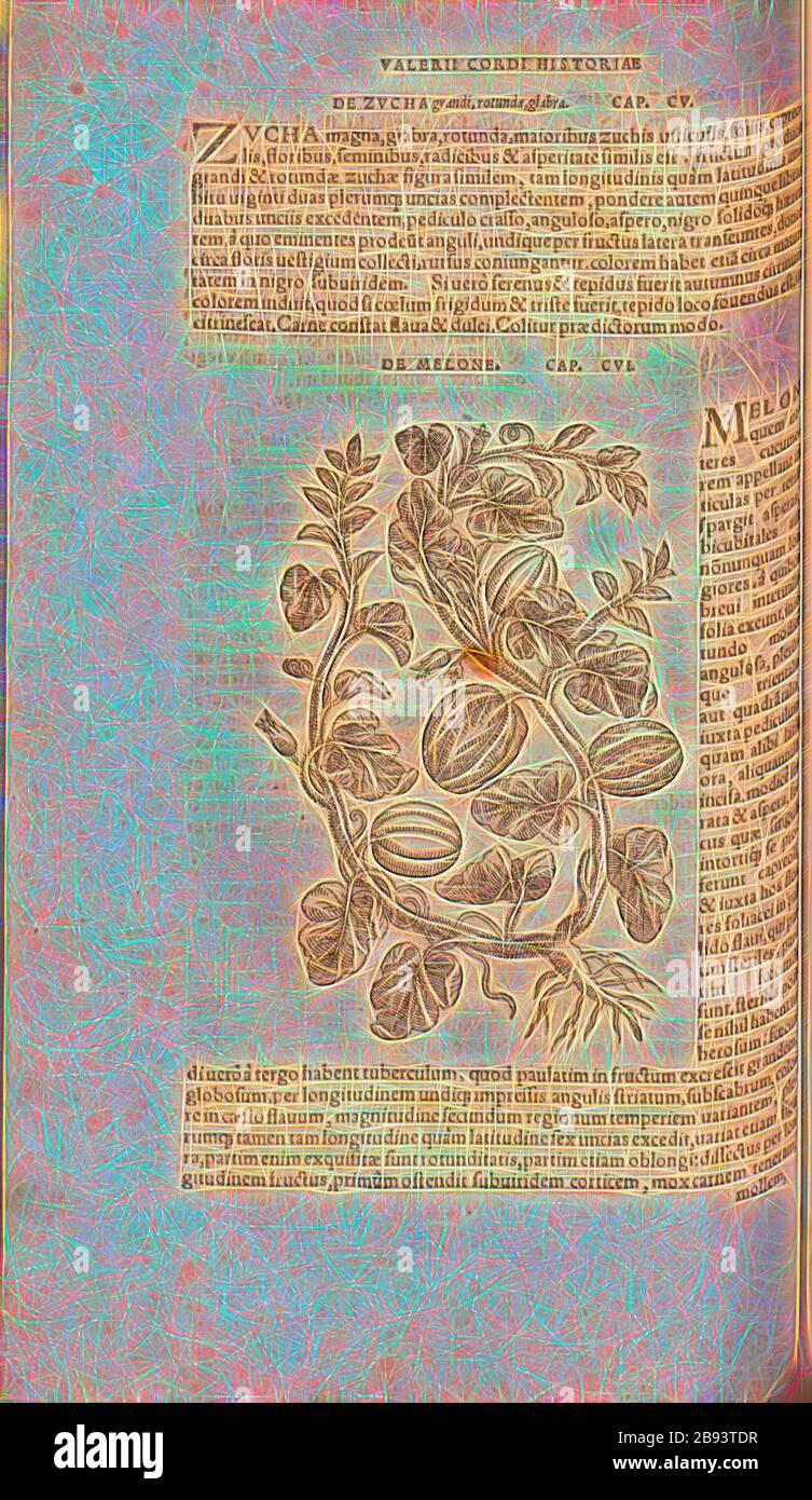Melon, Illustration of a melon type from the 16th century, Fig. 60, p. 117v, 1561, Valerius Cordus, Konrad Gessner, Benedictus Aretius, Pedanius Dioscorides: In hoc volumine continentur Valerii Cordi Simesusii annotationes in Pedacii Dioscoridis Anazarbei de medica materia libros V. [...]. Argentorati: excudebat Josias Rihelius 1561, Reimagined by Gibon, design of warm cheerful glowing of brightness and light rays radiance. Classic art reinvented with a modern twist. Photography inspired by futurism, embracing dynamic energy of modern technology, movement, speed and revolutionize culture. Stock Photo