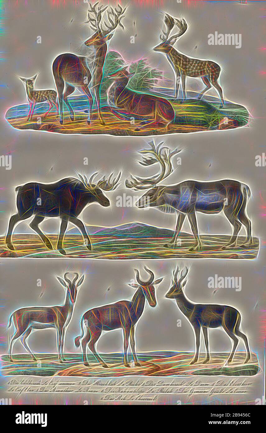 Mammals: deer, gazelles, antelopes, 1. The deer, 2. The doe, 3. The fallow deer, 4. The elfin, 5. The reindeer, 6. The cow antelope, 7. The common gazelle, 8. The deer, Plate VIII, Heinrich Rudolf Schinz: Abbildungen aus der Naturgeschichte. Zürich: bei Friedrich Schulthess, [1824], Reimagined by Gibon, design of warm cheerful glowing of brightness and light rays radiance. Classic art reinvented with a modern twist. Photography inspired by futurism, embracing dynamic energy of modern technology, movement, speed and revolutionize culture. Stock Photo
