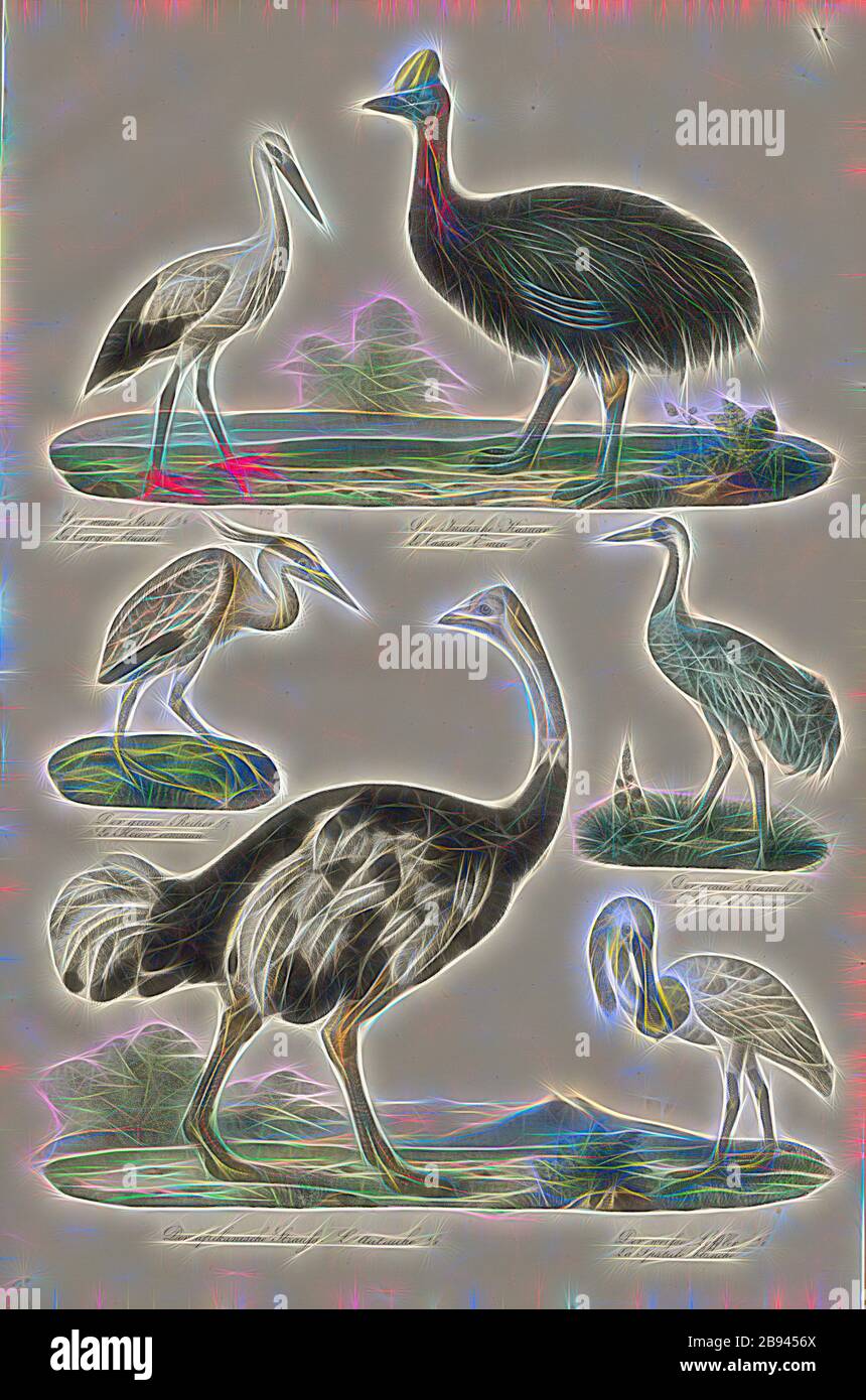 Birds: storks, cassowaries, herons, cranes, ostriches, spoonbills, 1. The white stork, 2. The Indian cassowary, 3. The gray heron, 4. The gray crane, 5. The African ostrich, 6. The white spoonbill, Taf. V, Heinrich Rudolf Schinz: Abbildungen aus der Naturgeschichte. Zürich: bei Friedrich Schulthess, [1824], Reimagined by Gibon, design of warm cheerful glowing of brightness and light rays radiance. Classic art reinvented with a modern twist. Photography inspired by futurism, embracing dynamic energy of modern technology, movement, speed and revolutionize culture. Stock Photo