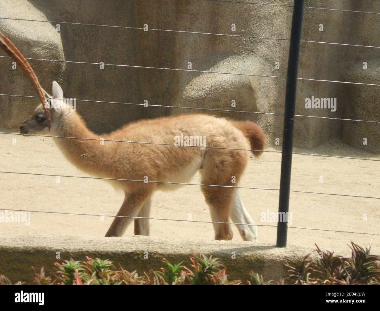 Awww High Resolution Stock Photography and Images   Alamy