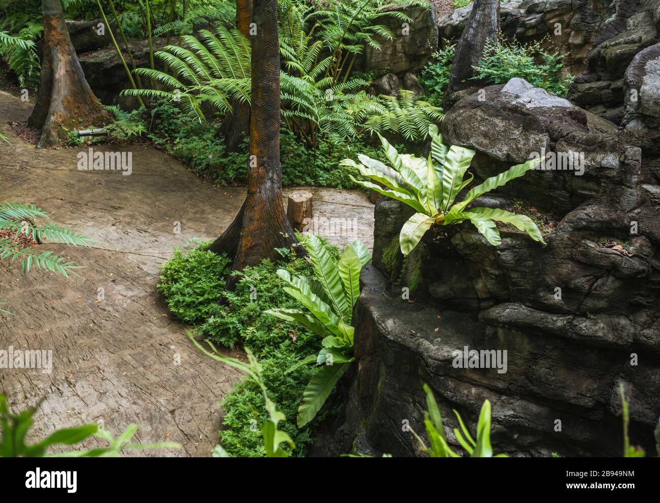 prehistoric artificial landscape from famous Singapore Botanical Garden Stock Photo