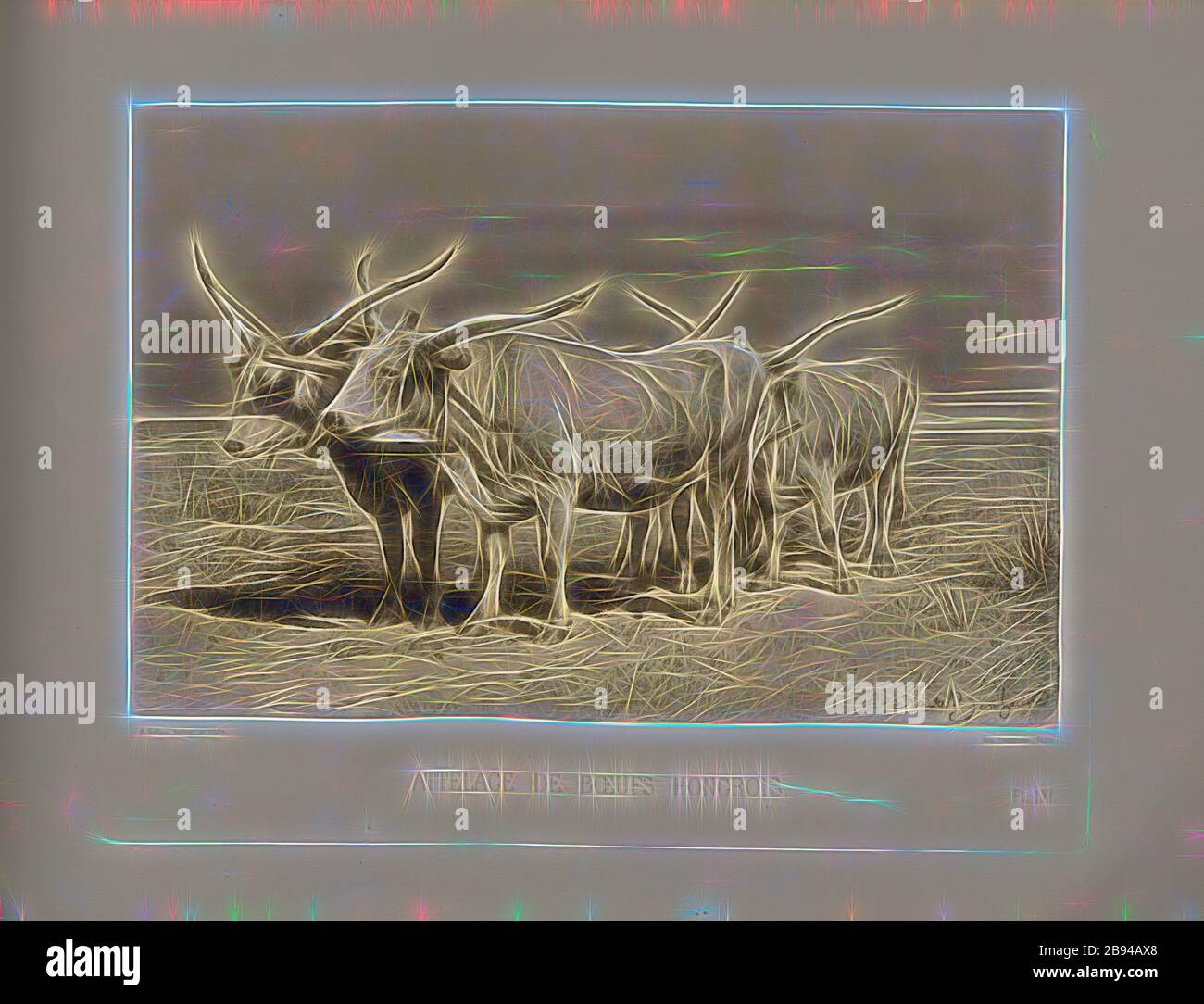 Hungarian cattle harness hi-res stock photography and images - Alamy
