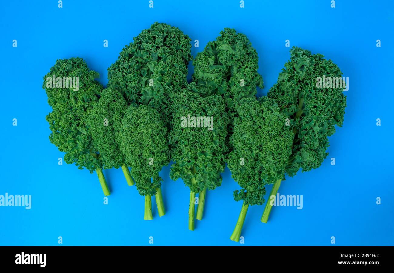 Kalegreen leaves curly kale, pattern, top view Stock Photo
