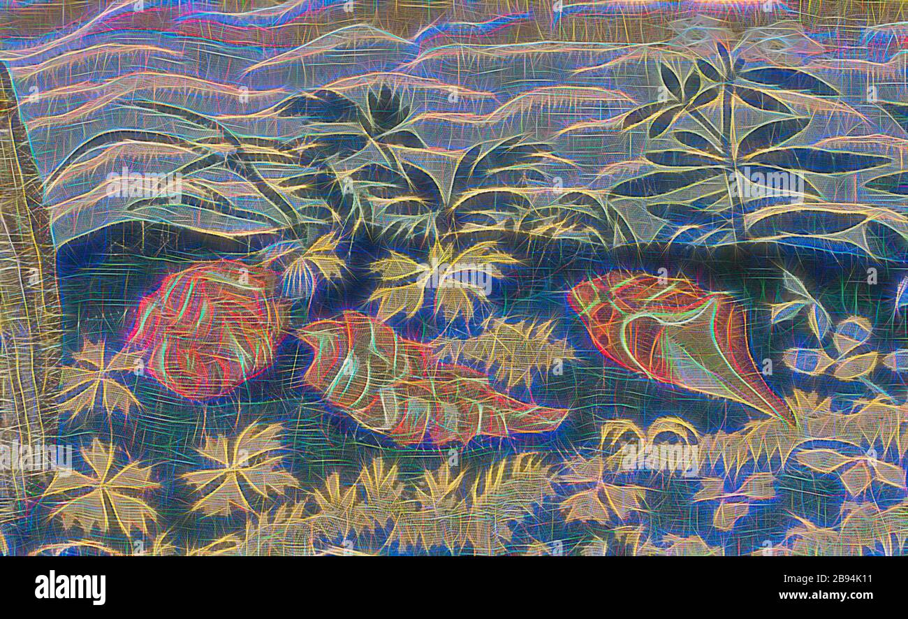 Miraculous draught of fishes tapestry hires stock photography and