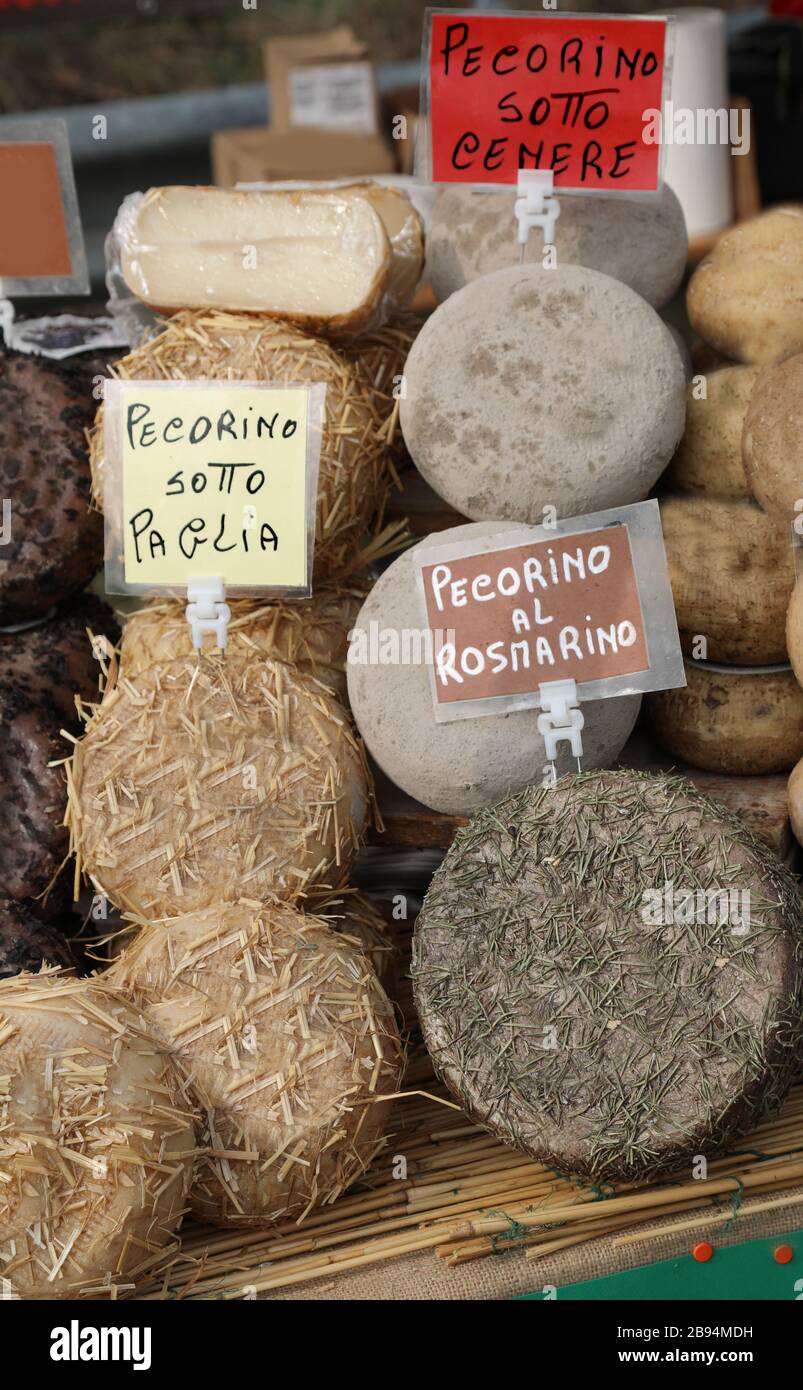 stall of cheeses made in Italy with the word PECORINO which means that the cheese is made with sheep and goat milk Stock Photo
