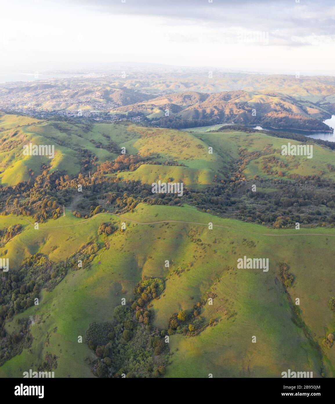 Evening sunlight shines on the green hills of the East Bay in Northern California. This area, east of San Francisco Bay, is green in the winter. Stock Photo