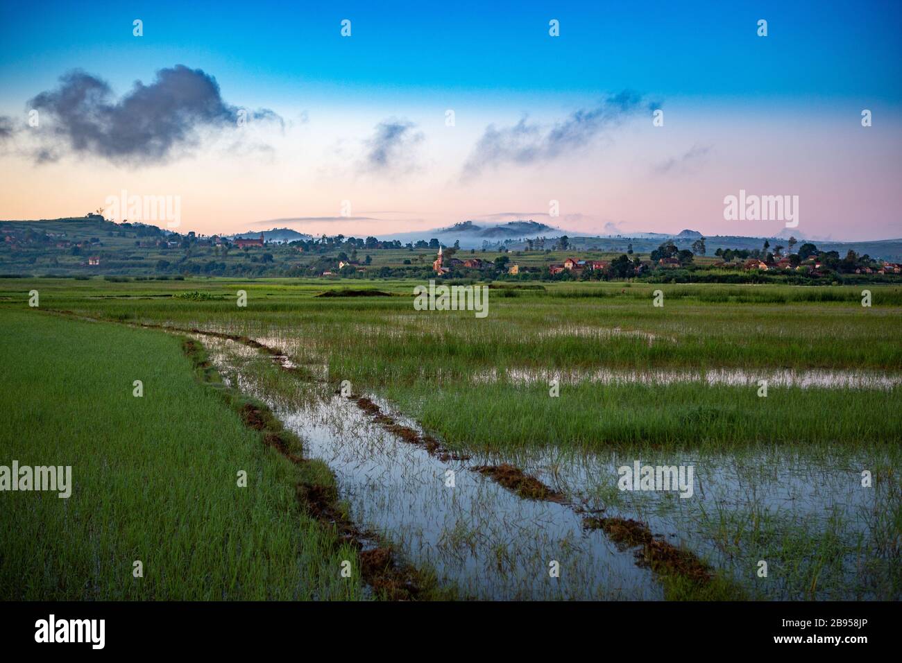 Sunrise on the paddy field near Antsirabe Stock Photo - Alamy