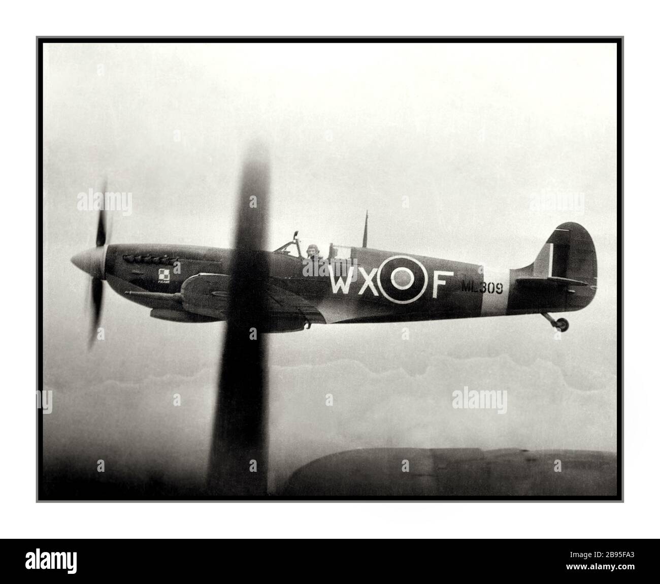 SPITFIRE WW2 1940’s World War II Royal Air Force (RAF) Spitfire off the wing of an American Airforce B-17. Flown by RAF pilots, the short-ranged Spitfire was the USAAF’s and Bomber Commands heavy bomber escort protecting against Nazi Germany Fighter aircraft until mid-1943. World War II Second World War WW2 Stock Photo