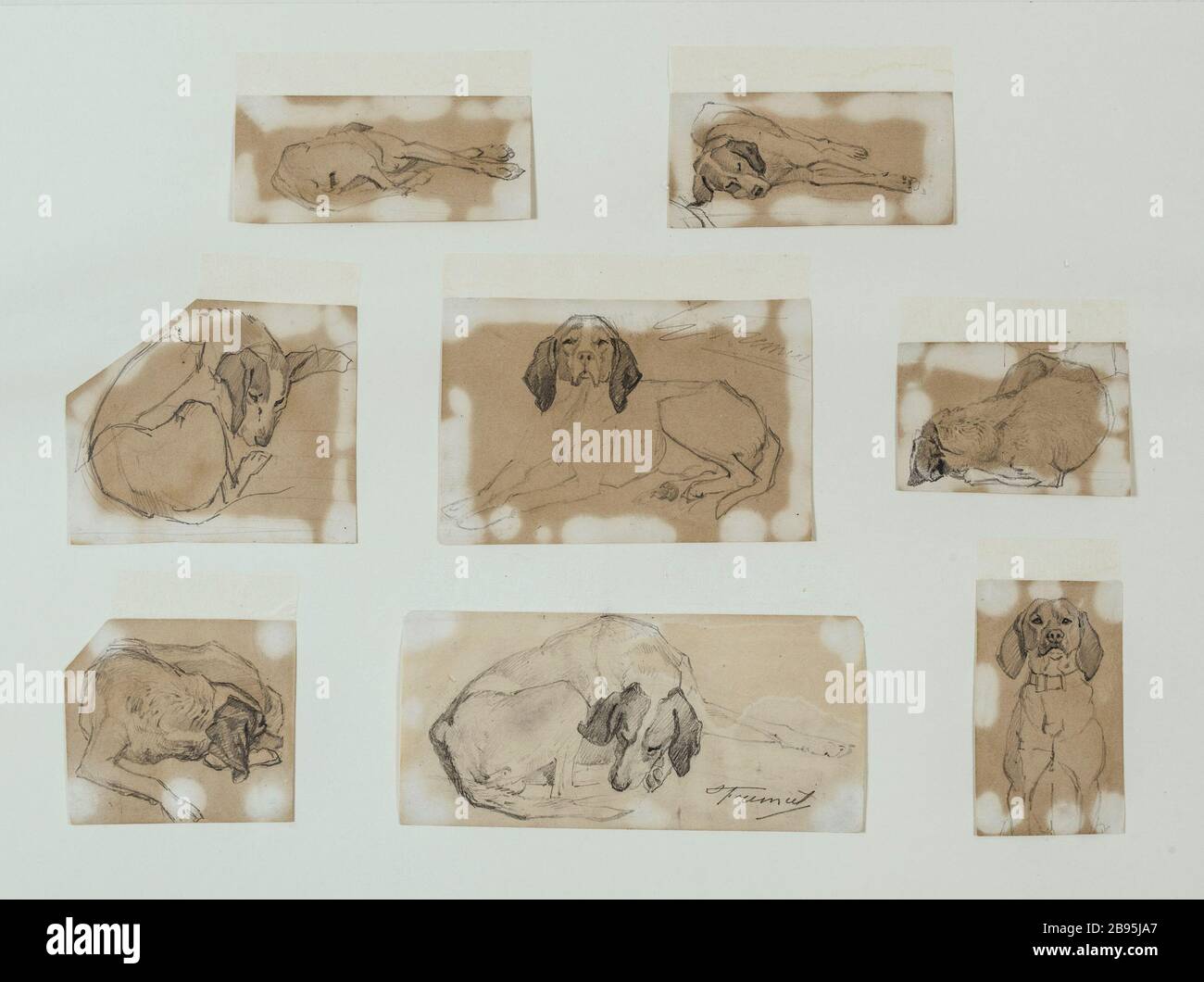 Dog Studies Emmanuel Frémiet (1824-1910). Etudes de chien. Mine de plomb sur papier. Musée des Beaux-Arts de la Ville de Paris, Petit Palais. Stock Photo