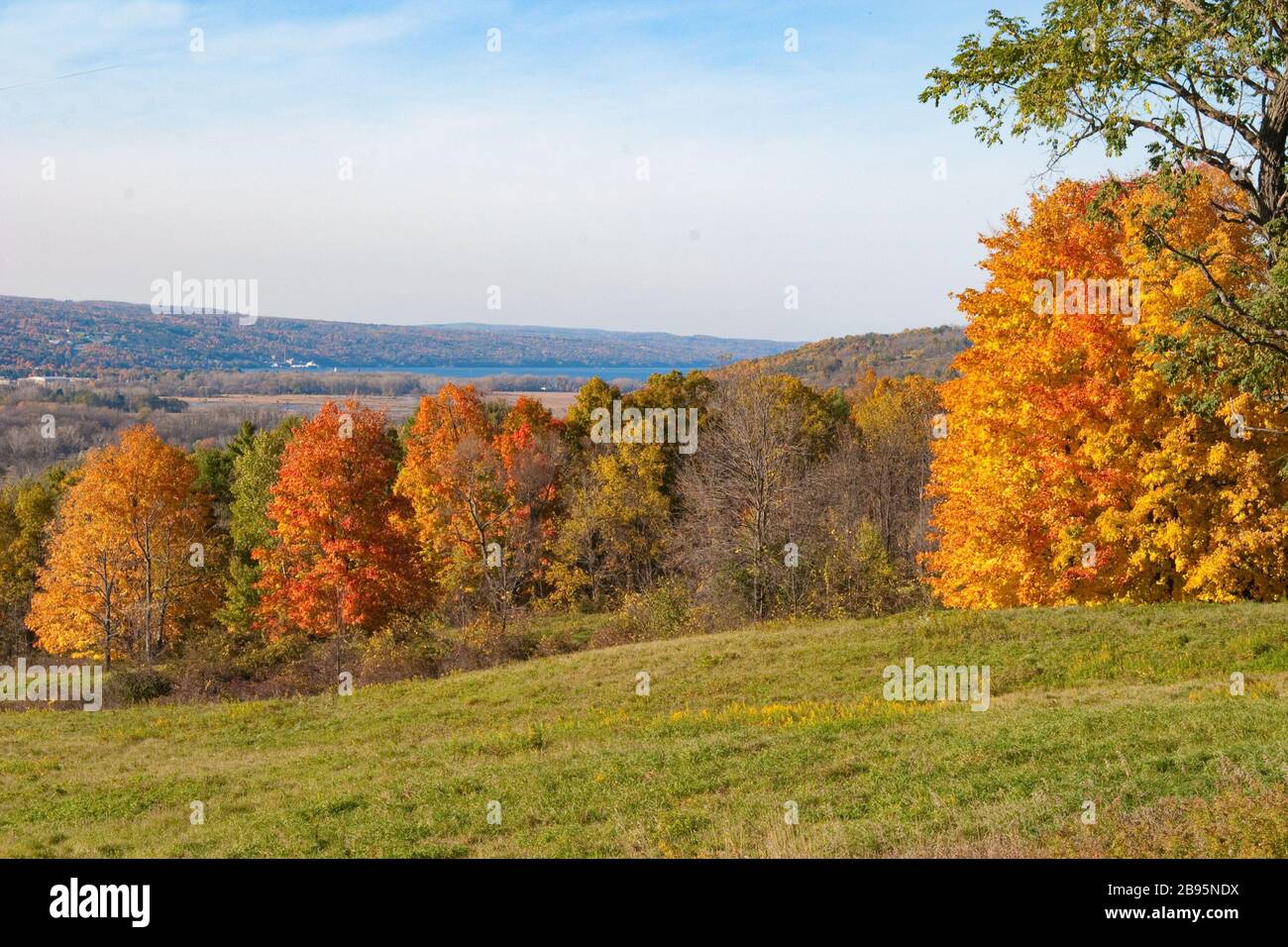 Pasture overlooking Seneca Lake Stock Photo Alamy