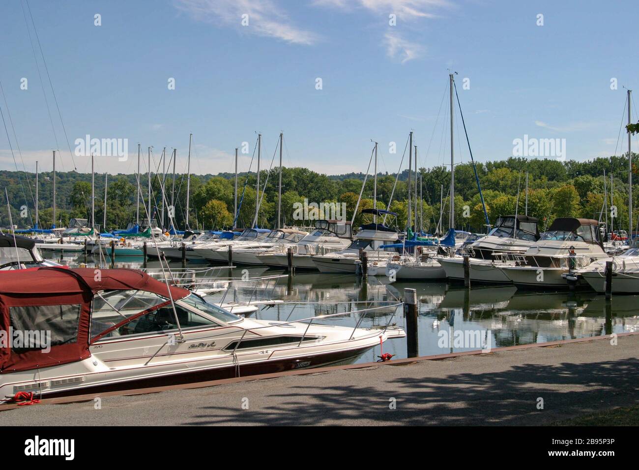 allan-treman-marina-in-summer-2B95P3P.jp